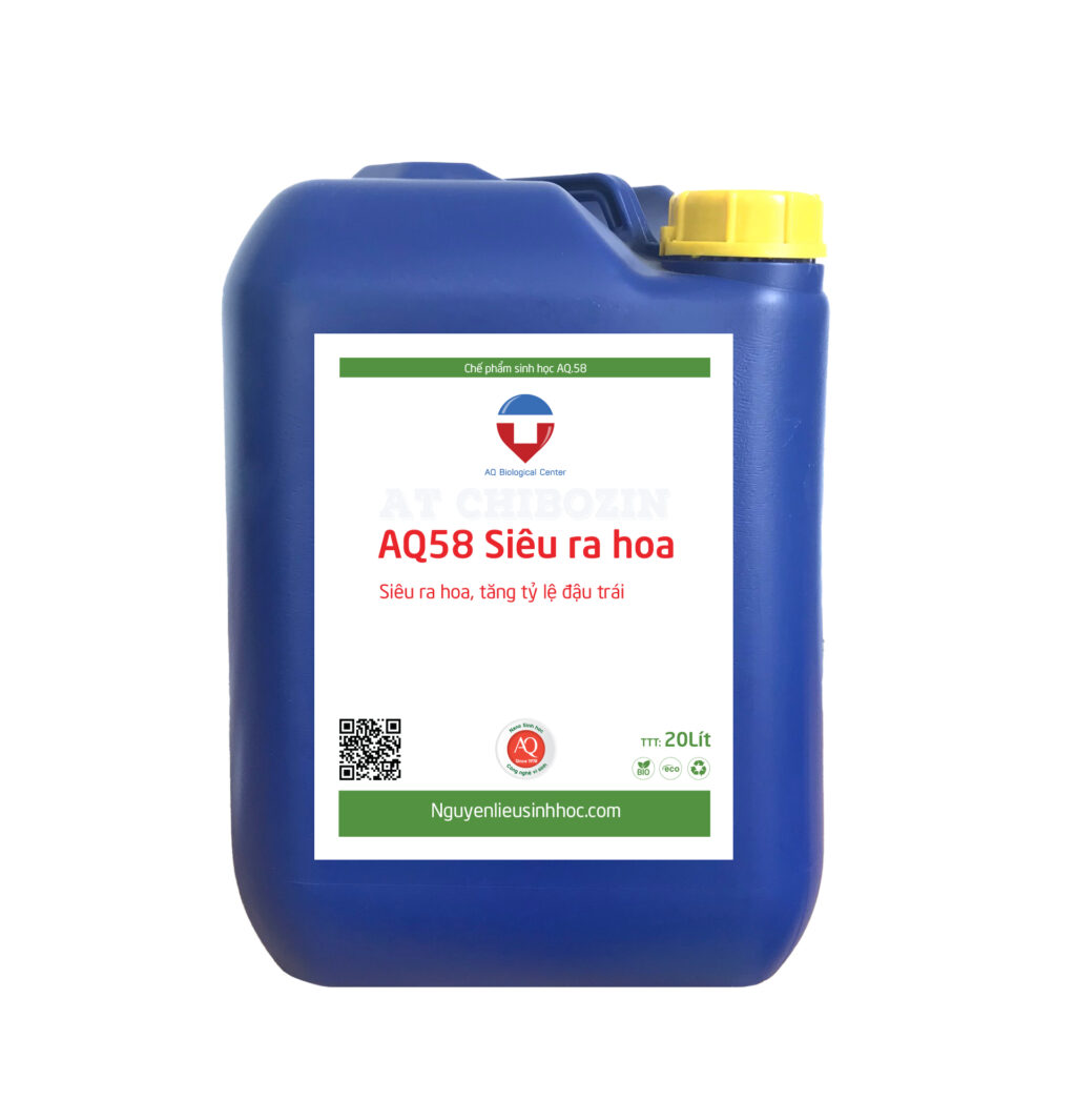 AQ 58 1