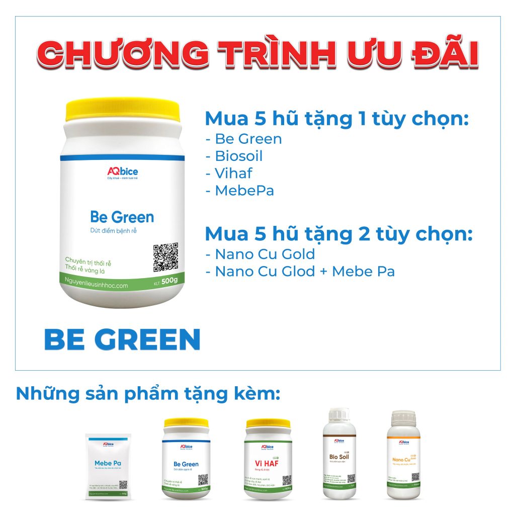 Thuốc đặc trị vàng lá thối rễ Be Green phục hồi, tái tạo rễ