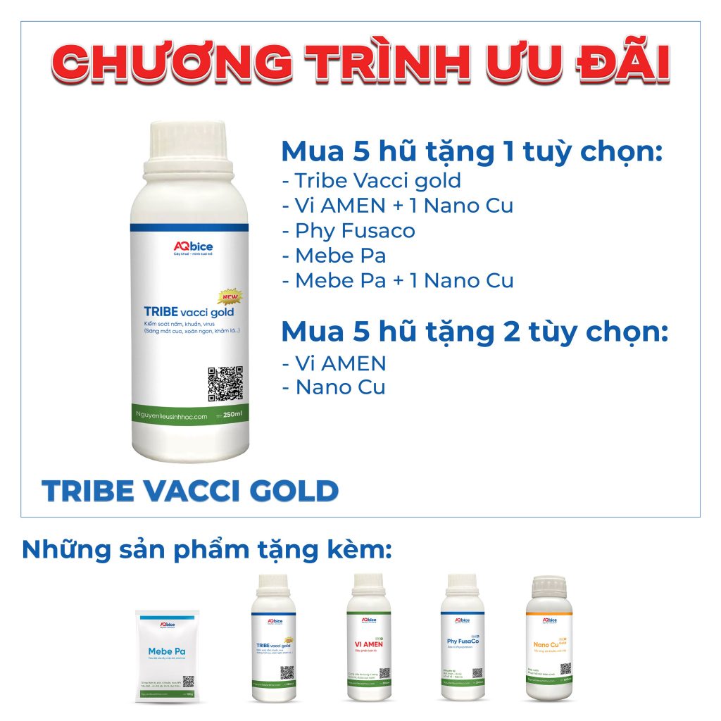Phòng trừ xoăn ngọn, xoắn lá, sượng trái - Tribe Vacci gold
