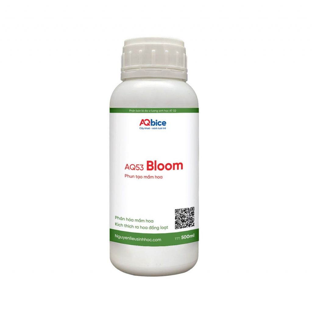 Phân bón siêu ra hoa AQ53 Bloom ra hoa đều, đậu trái to