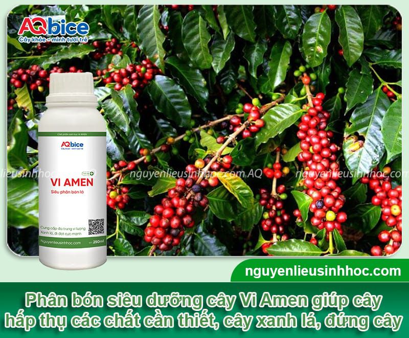 VI AMEN - Siêu dinh dưỡng cây trồng, Siêu phân bón lá 9 Phân bón siêu dinh dưỡng VI AMEN xanh lá, đứng cây, mập búp