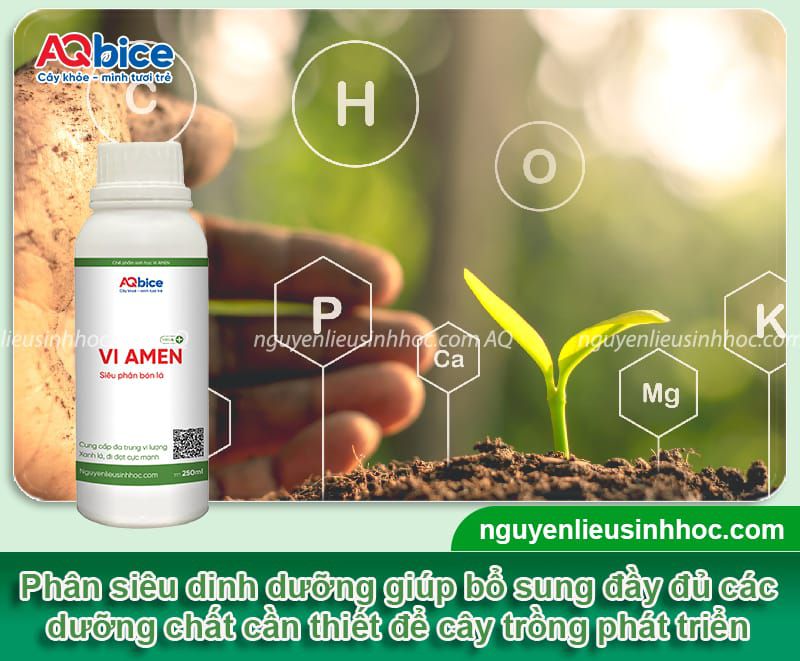VI AMEN - Siêu dinh dưỡng cây trồng, Siêu phân bón lá 6 Phân bón siêu dinh dưỡng VI AMEN xanh lá, đứng cây, mập búp
