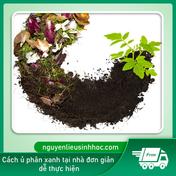 Cách ủ phân xanh bón cây tại nhà hiệu quả, dễ thực hiện