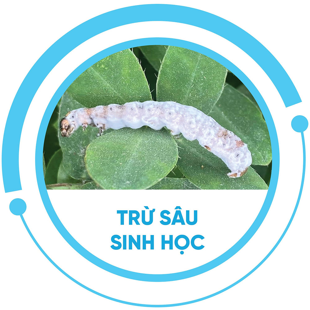Trừ sâu sinh học