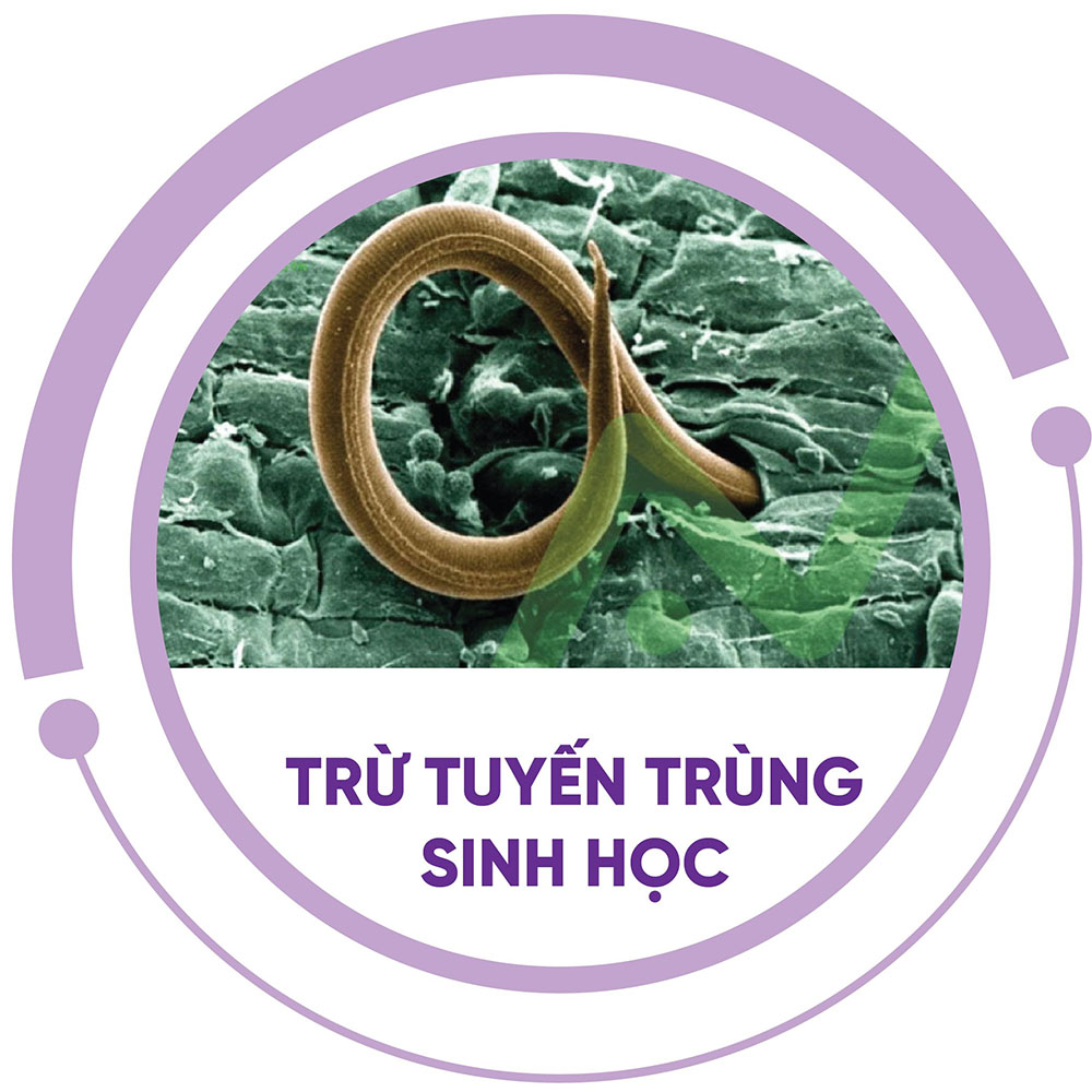 Trừ tuyến trùng sinh học