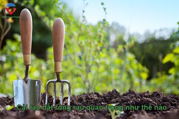 Hướng dẫn cải tạo đất trồng rau trước & sau thu hoạch