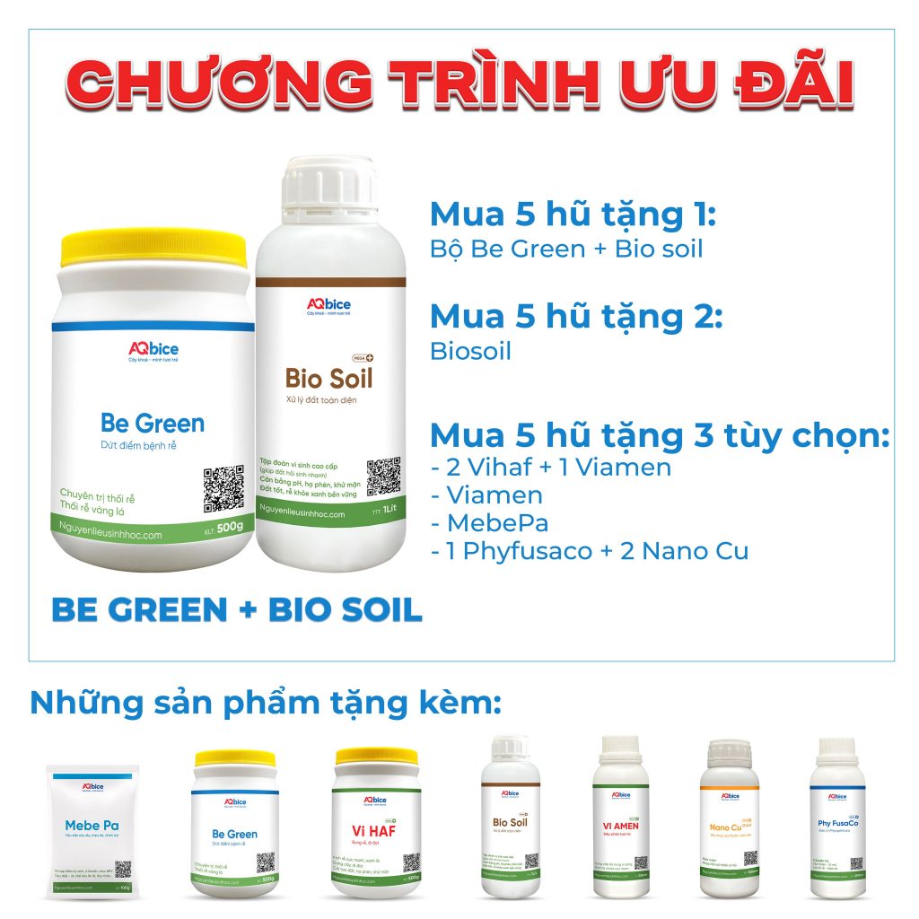 Combo trị vàng lá thối rễ, cải tạo đất, cân bằng pH, rễ khỏe