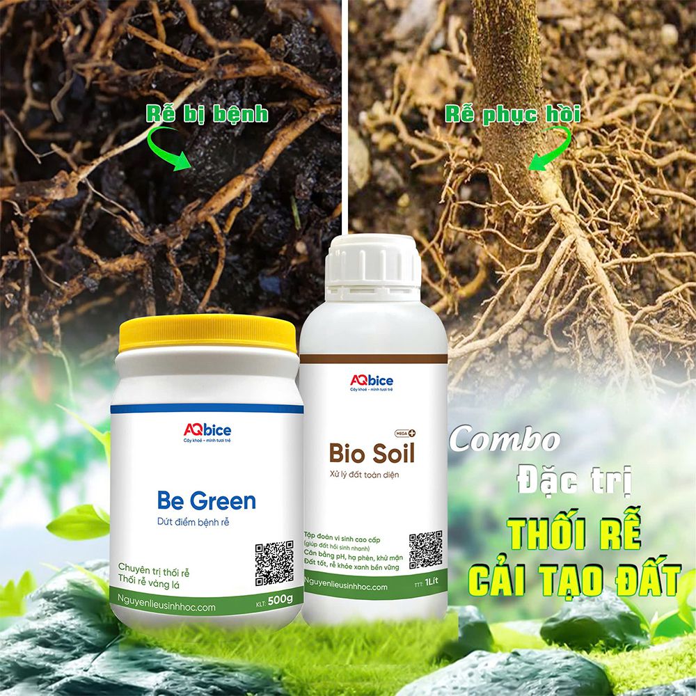 Combo trị vàng lá thối rễ, cải tạo đất, cân bằng pH, rễ khỏe