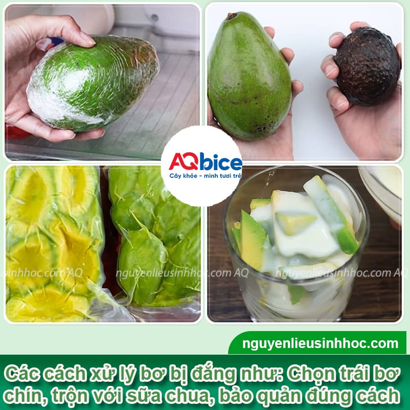 Bơ bị đắng nguyên nhân do đâu? Cách xử lý hiệu quả 4 Bơ bị đắng nguyên nhân do đâu? Cách xử lý hiệu quả