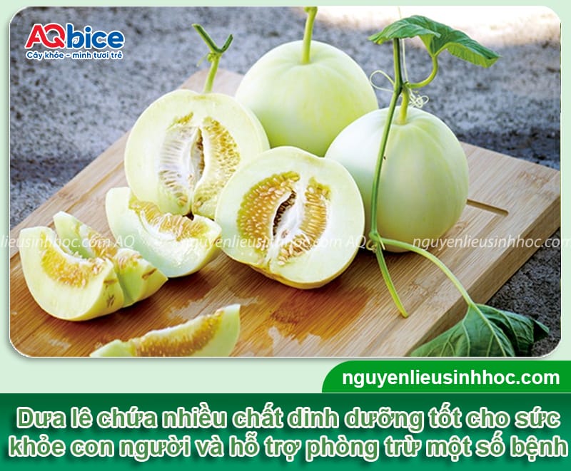 Thời vụ trồng dưa lê ở miền Bắc: Hướng dẫn từ A đến Z 2 Thời vụ trồng dưa lê ở miền Bắc: Hướng dẫn từ A đến Z