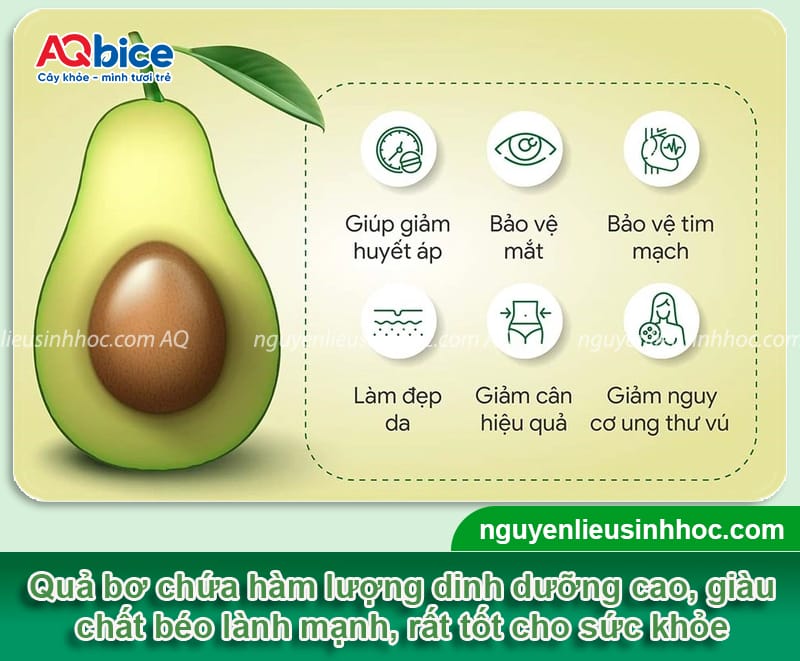 Bơ bị đắng nguyên nhân do đâu? Cách xử lý hiệu quả 5 Bơ bị đắng nguyên nhân do đâu? Cách xử lý hiệu quả