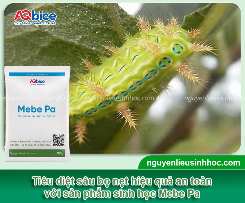 Sâu bọ nẹt: Nhận biết và phòng trừ dứt điểm, hiệu quả nhanh 5 Sâu bọ nẹt: Nhận biết và phòng trừ dứt điểm, hiệu quả nhanh