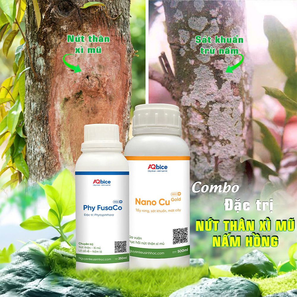 Thuốc đặc trị nứt thân xì mủ, tẩy rong rêu, trừ nấm khuẩn