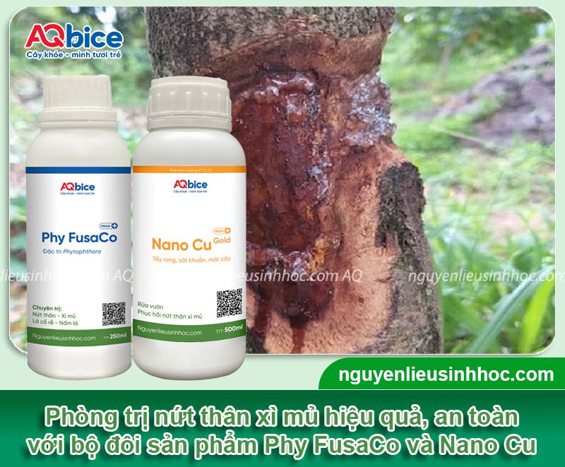 Phy Fusaco + Nano Cu Gold: Trị nứt thân xì mủ - Rửa vườn, sát khuẩn trừ nấm, tẩy rong rêu 7 Thuốc đặc trị nứt thân xì mủ, tẩy rong rêu, trừ nấm khuẩn
