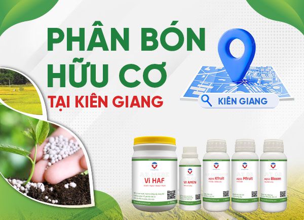 Phân bón hữu cơ tại Kiên Giang giá sỉ, chất lượng cao - AQ