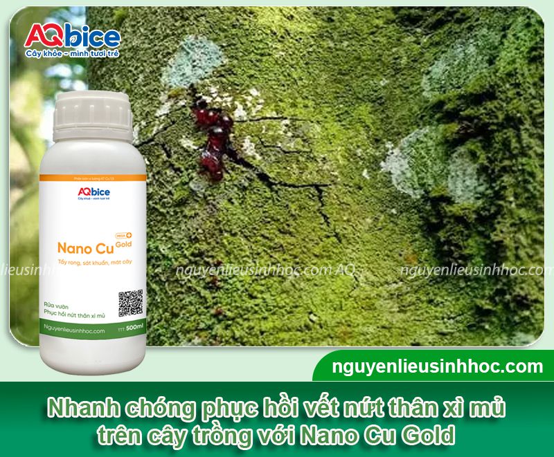 Phy Fusaco + Nano Cu Gold: Trị nứt thân xì mủ - Rửa vườn, sát khuẩn trừ nấm, tẩy rong rêu 9 Thuốc đặc trị nứt thân xì mủ, tẩy rong rêu, trừ nấm khuẩn