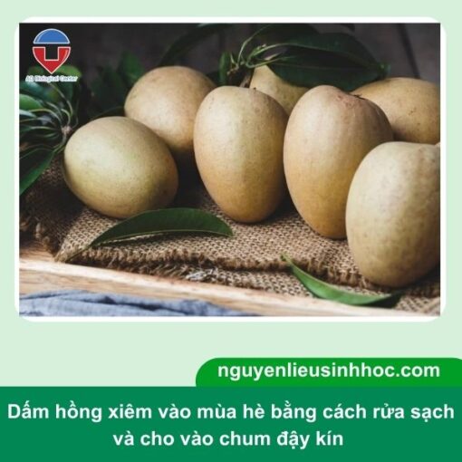 Cách dấm hồng xiêm nhanh chín tại nhà, thơm ngon, giòn ngọt