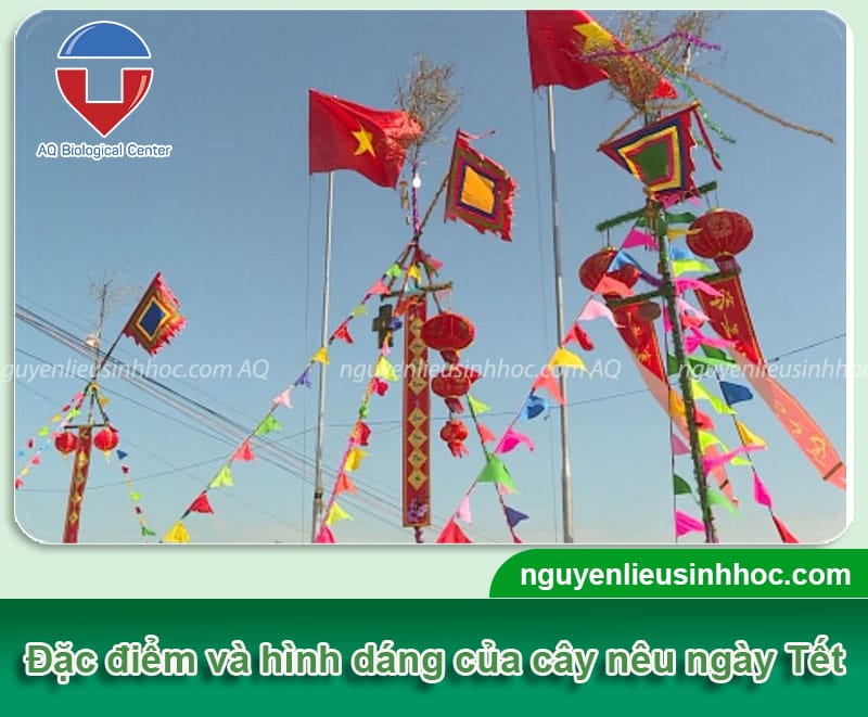 Ý nghĩa cây nêu ngày tết trong văn hóa Việt Nam