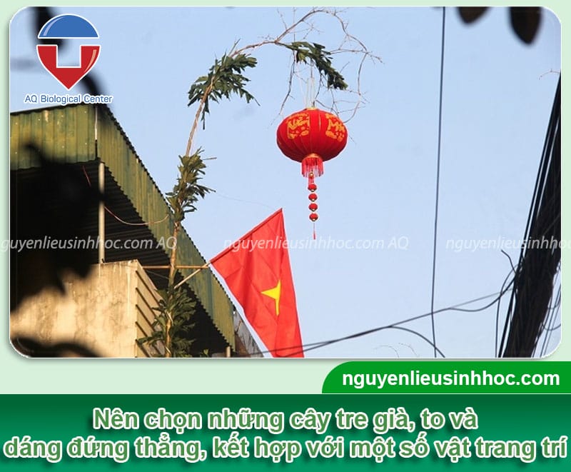 Ý nghĩa cây nêu ngày tết trong văn hóa Việt Nam