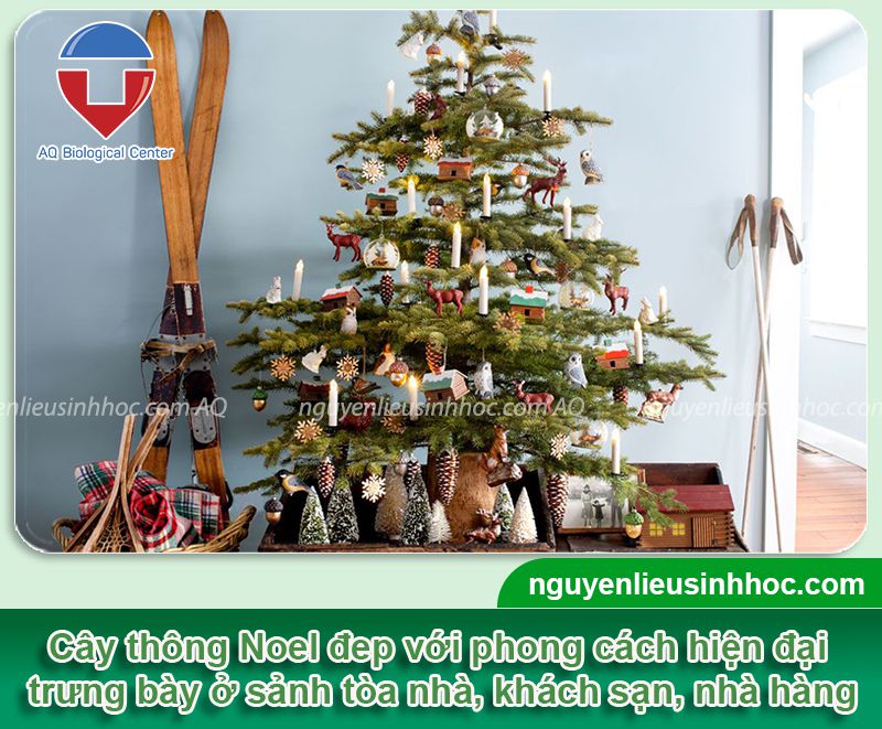 Gợi ý những ý tưởng trang trí cây thông Noel trong nhà