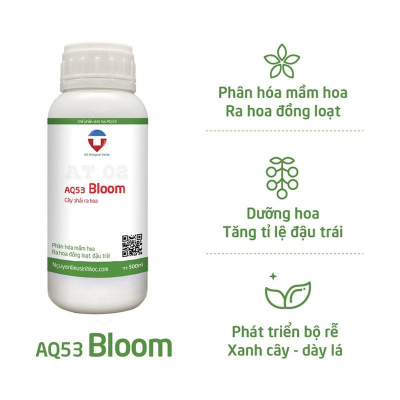 Thuốc kích ra hoa hồng AQ53 Bloom giúp hoa hồng nở rộ