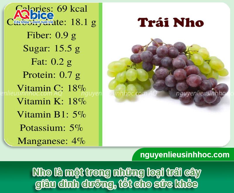 Cách chăm sóc nho sau thu hoạch mau hồi phục, rễ ra khỏe