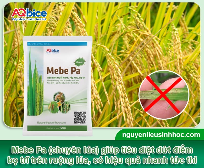 Thuốc trị bọ trĩ và nhện đỏ Mebe Pa: Hiệu quả nhanh, tức thì