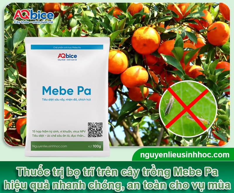 Thuốc trị bọ trĩ và nhện đỏ Mebe Pa: Hiệu quả nhanh, tức thì