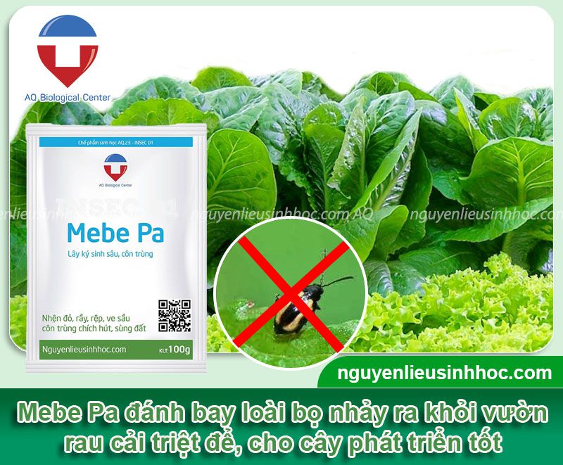 Thuốc trị sùng đất hại cây trồng Mebe Pa hiệu quả tức thì
