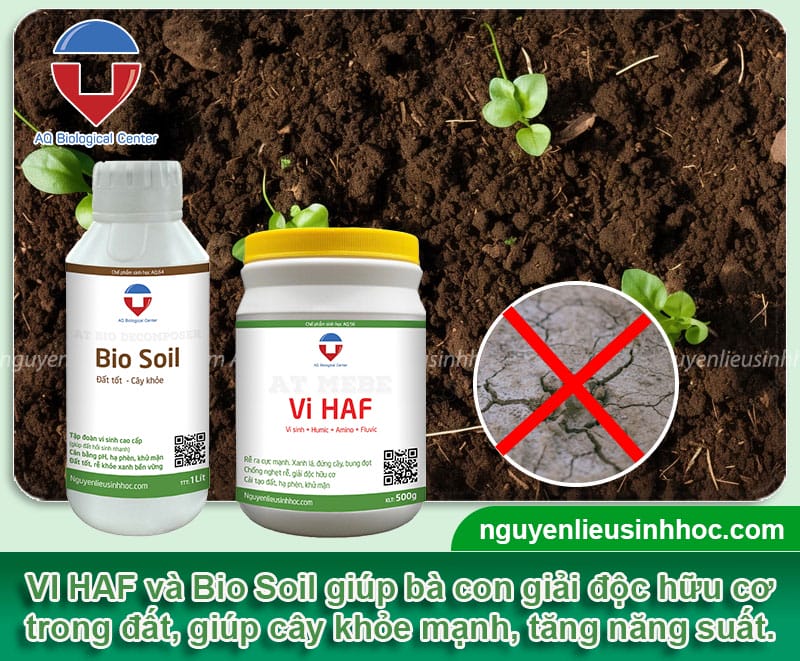Giải độc hữu cơ cho đất trồng với sản phẩm VI HAF & Bio Soil