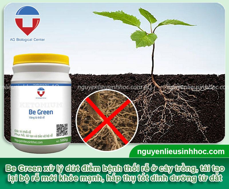 Thuốc phục hồi rễ Be Green phục hồi và tái tạo lại bộ rễ