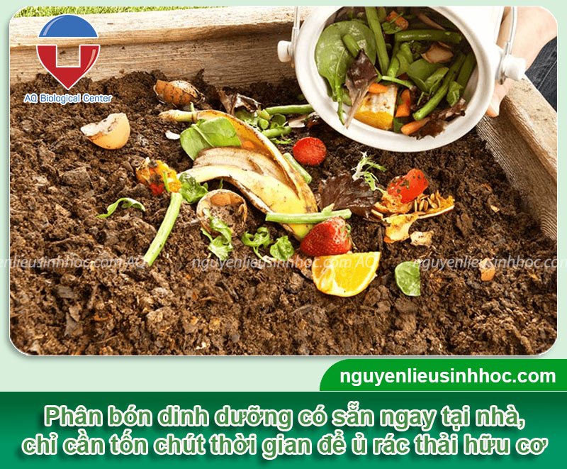 Cách ủ rác hữu cơ không mùi cực hiệu quả tại nhà