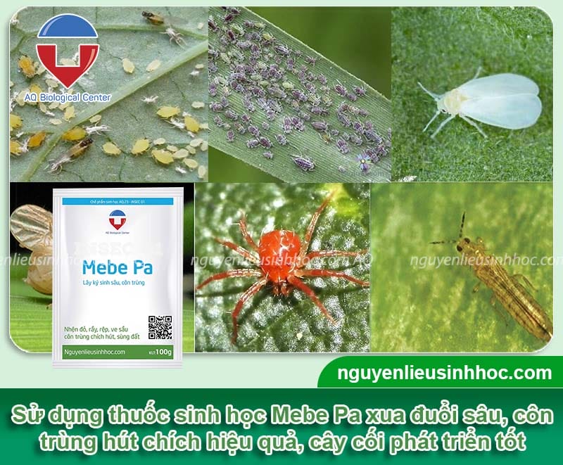 Thuốc trị côn trùng chích hút nhện đỏ, rầy rệp, ve Mebe Pa