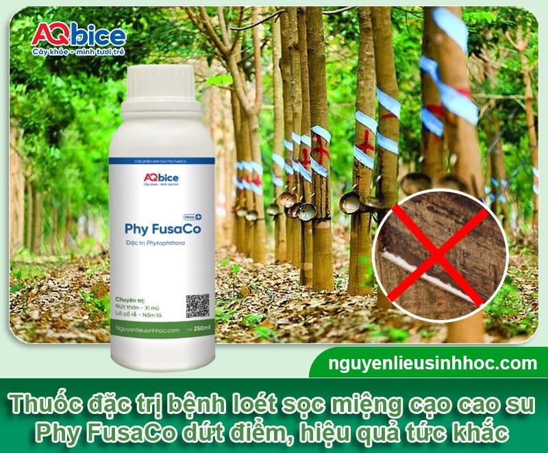 Loét sọc miệng cạo cao su: Dấu hiệu & Cách xử lý dứt điểm 4 Loét sọc miệng cạo cao su: Dấu hiệu &; Cách xử lý dứt điểm