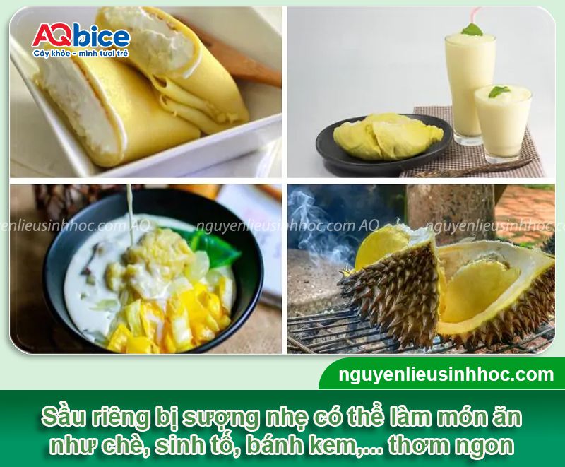 Sầu riêng bị sượng: Nguyên nhân và Cách xử lý hiệu quả 3 Sầu riêng bị sượng nguyên nhân do đâu và cách khắc phục