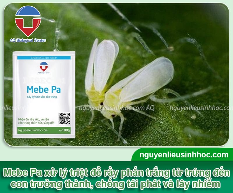 Thuốc trị rầy phấn trắng Mebe Pa hiệu quả nhanh, an toàn cho cây