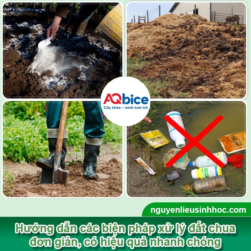 Cách xử lý đất chua hiệu quả giúp cây phát triển xanh tốt