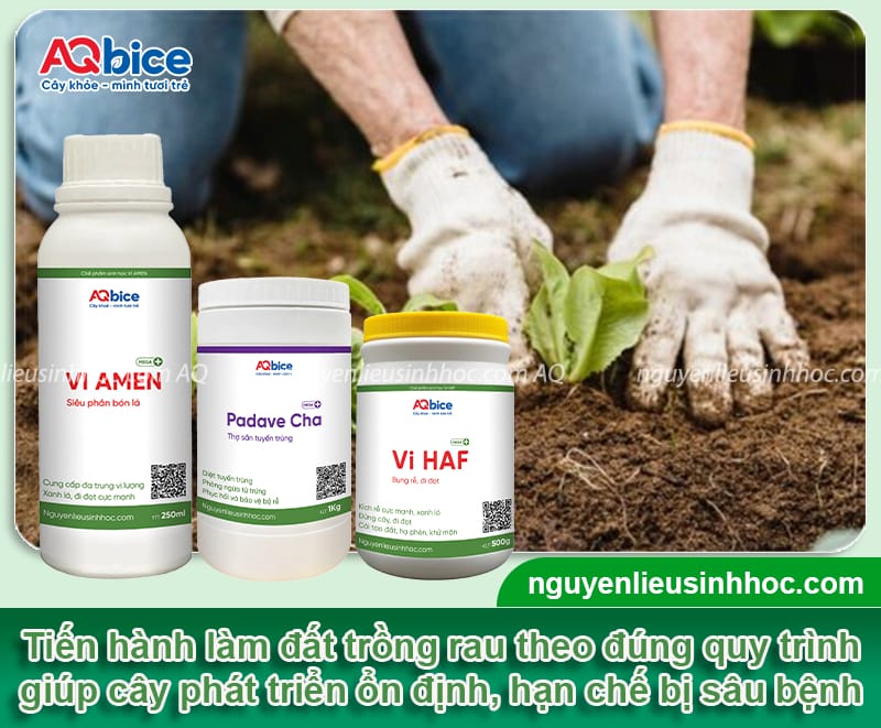 Cách làm đất trồng rau tơi xốp, màu mỡ, hạn chế nấm bệnh 5 Cách làm đất trồng rau tơi xốp, màu mỡ, hạn chế nấm bệnh