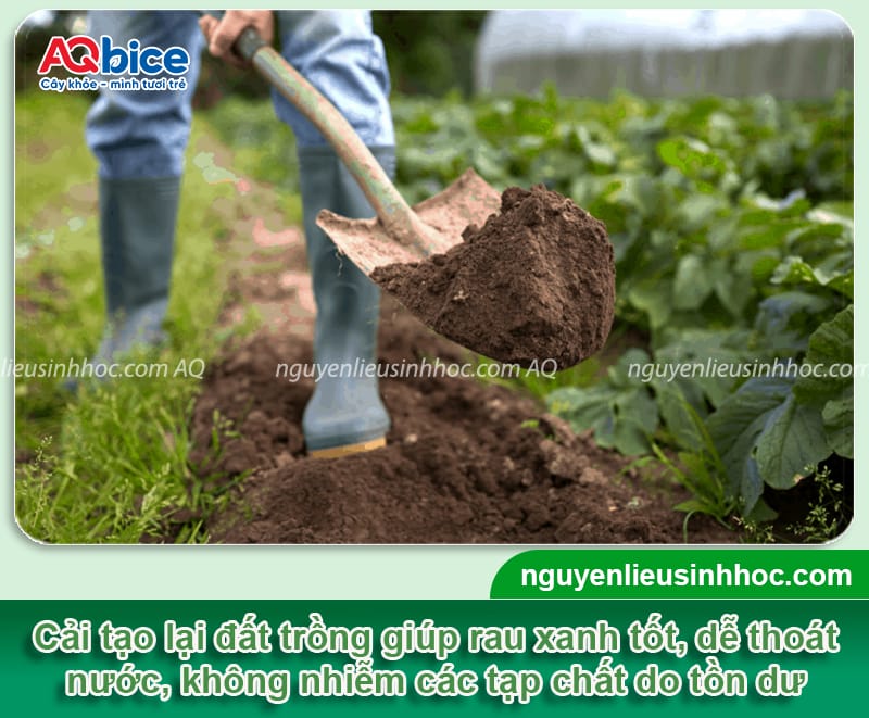 Cách làm đất trồng rau tơi xốp, màu mỡ, hạn chế nấm bệnh 4 Cách làm đất trồng rau tơi xốp, màu mỡ, hạn chế nấm bệnh