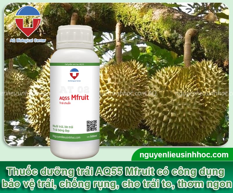 Thuốc dưỡng trái Mfruit - Bí quyết cho trái to, đẹp, thơm ngọt