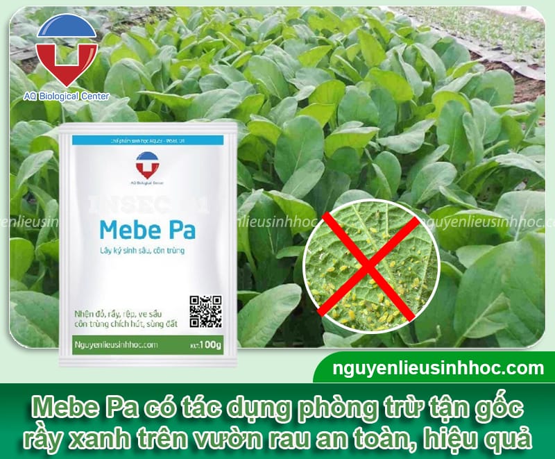 Thuốc trị rầy xanh Mebe Pa hiệu quả nhanh chóng, giá tốt