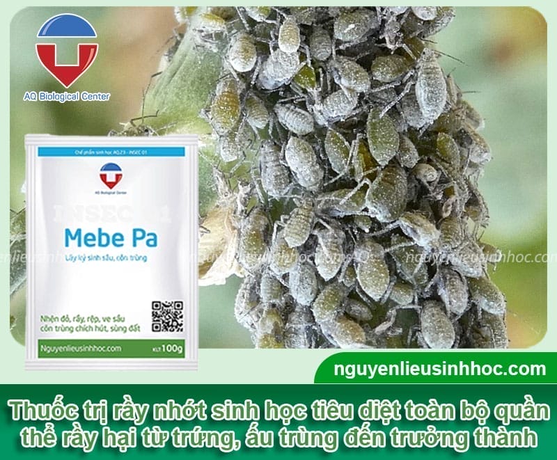Thuốc trị rầy nhớt MEBE PA diệt trừ tận gốc, an toàn cho cây trồng
