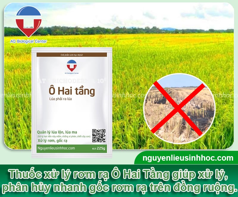 Thuốc xử lý rơm rạ Ô Hai Tầng giúp nâng cao hiệu quả canh tác