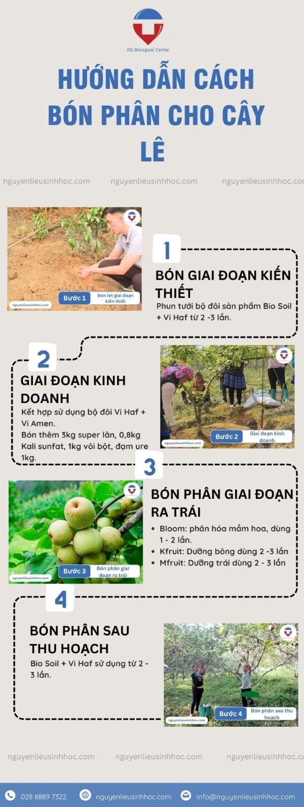 Hướng dẫn bón phân cho cây lê phát triển nhanh, đạt năng suất