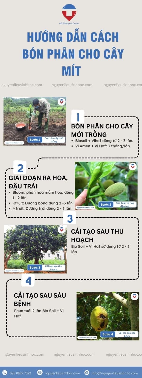 Hướng dẫn bón phân cho cây mít theo từng giai đoạn