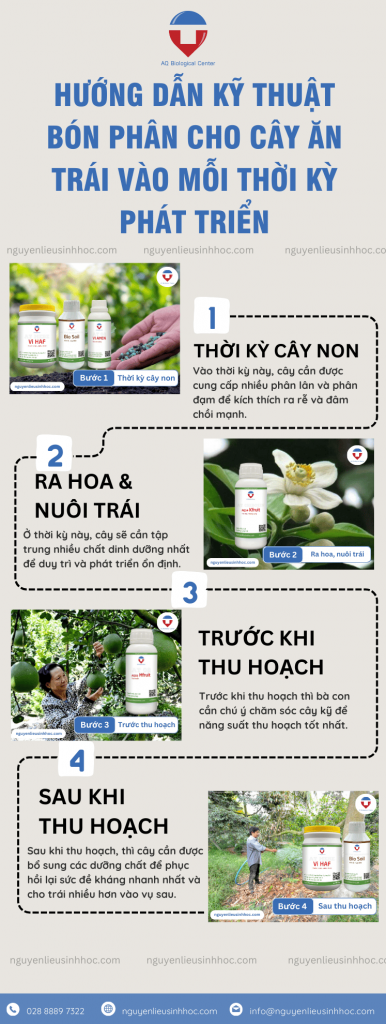 Hướng dẫn bón phân cho cây ăn trái đúng cách, hiệu quả