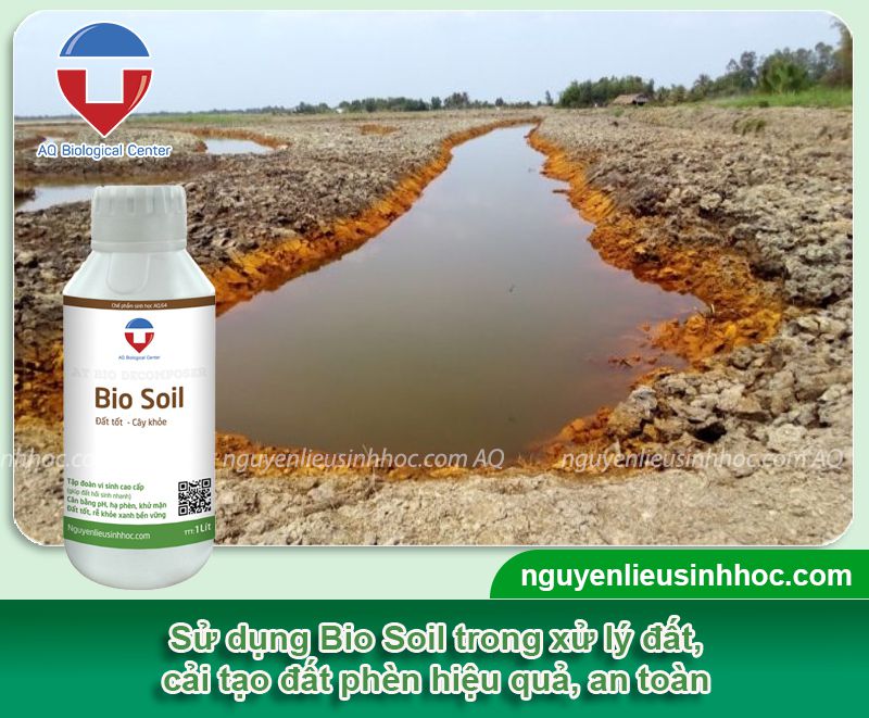 Thuốc giải độc phèn cải thiện pH phục hồi cây trồng Bio Soil