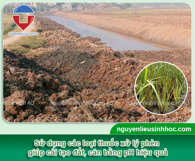 Thuốc giải độc phèn cải thiện pH phục hồi cây trồng Bio Soil