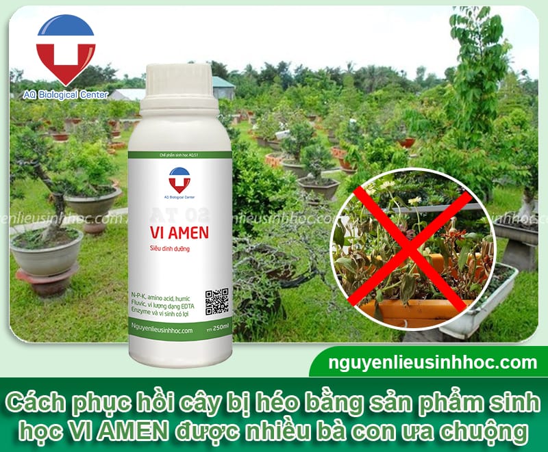 Cách phục hồi cây bị héo: Giải pháp đơn giản để cây luôn xanh tươi