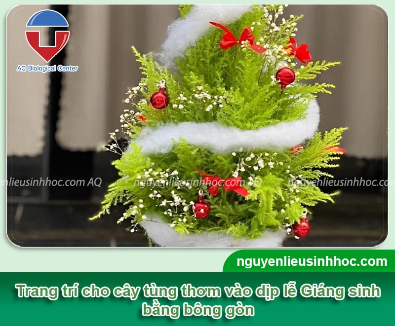 Hướng dẫn cây tùng thơm trang trí noel bằng phụ kiện đơn giản